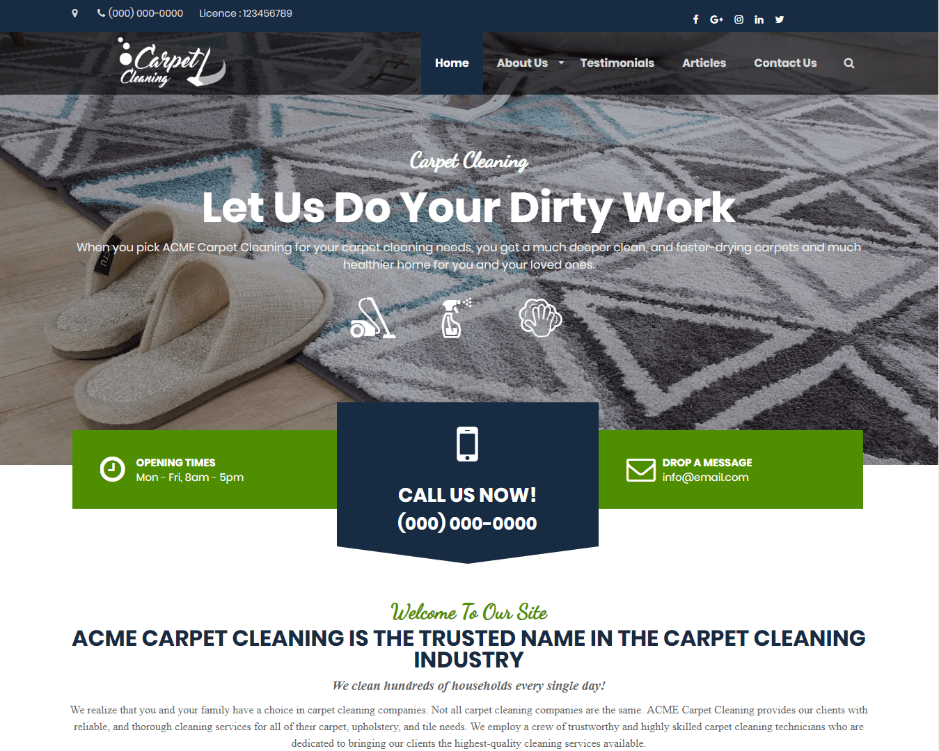Carpet Cleaning homepage.