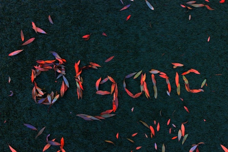The word organic is written on a black background.
